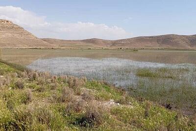 منشا گردوغبار روزهای اخیر تهران مشخص شد