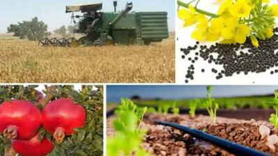 مرکز آمار خبر داد؛ ریزش نرخ تورم در بخش کشاورزی