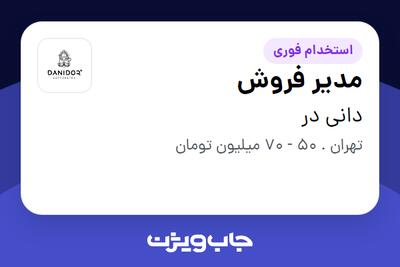 استخدام مدیر فروش در دانی در