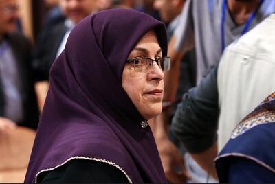 منصوری: به گروه‌های تندرو و اقلیتی نباید اجازه داد تا بر طبل دو قطبی بکوبند / محدود کردن نفوذ به اتباع بیگانه، پاک کردن صورت مسئله نفوذ در ایران است