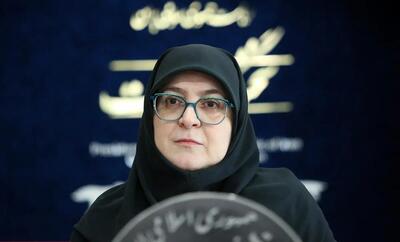 سخنگوی دولت: در جنگ ۱۲ روزه، هم زَدیم، هم خوردیم