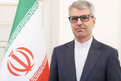 بقایی: حمایت‌های آمریکا باعث تداوم جنایات اسرائیل شده است