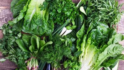 خطر آلودگی سبزیجات به مدفوع سگ و گربه / هشدار به مصرف لبنیات غیرپاستوریزه