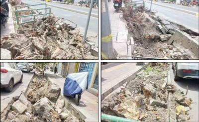 شهرداری منطقه: دلیل؛ درخواست‌های متعدد مردمی بود!  کسبه: درختان را خشک و با بیل مکانیکی ریشه‌کن می‌کنند