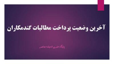 تسویه ۷۵ درصدی در فروردین و نیمه‌پرداختی در اردیبهشت؛ وضعیت جدید پرداخت مطالبات گندمکاران مشخص شد!