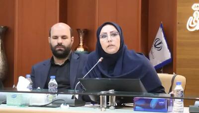 تقویت مشارکت‌های اجتماعی جوانان با راه‌اندازی شبکه‌های تخصصی/ شبکه ایران یاران جوان شبکه ای برای استفاده از ظرفیت جوانان در شرایط بحران