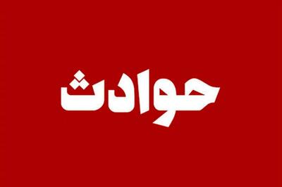 شلیک به راننده به خاطر بوق زدن/ ضارب به همراه دو برادرش عضو یک باند خفت گیری هستند