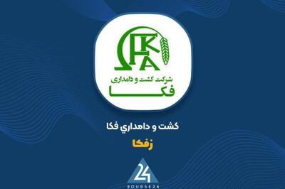 اطلاع رسانی در خصوص برگزاری مجمع عادی سالیانه «زفکا»