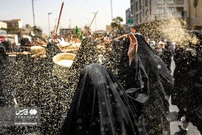 تصاویر؛ کاروان نمادین اسرای کربلا