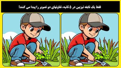فقط یک نابغه تیزبین در 5 ثانیه، تفاوتهای دو تصویر را پیدا می کنند!