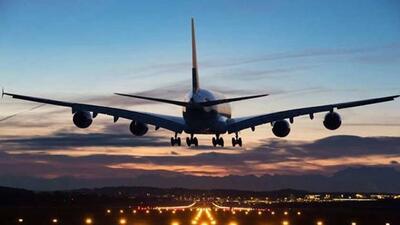 ببینید/ آتش سوزی در هواپیمای مسافربری آمریکا