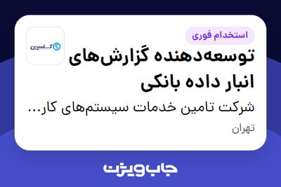 استخدام توسعه‌دهنده گزارش‌های انبار داده بانکی در شرکت تامین خدمات سیستم‌های کاربردی کاسپین
