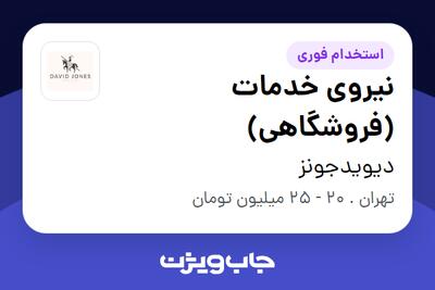 استخدام نیروی خدمات (فروشگاهی) - آقا در دیویدجونز
