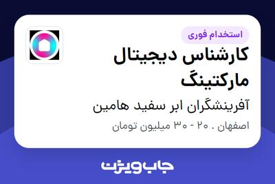 استخدام کارشناس دیجیتال مارکتینگ در آفرینشگران ابر سفید هامین
