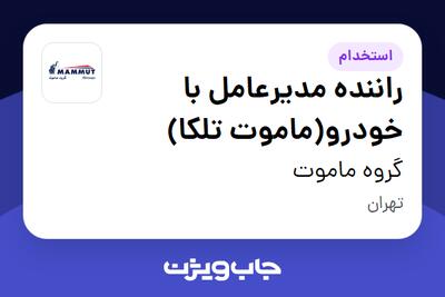 استخدام راننده مدیرعامل با خودرو(ماموت تلکا) - آقا در گروه ماموت