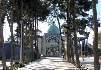 دومین حفاری مشکوک در محدوده امامزاده عبدالله(ع) شهر ری/ ویدئو