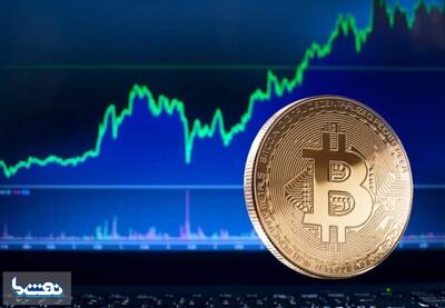 بیت‌کوین در رشد قیمت بی‌رقیب شد | نفت ما