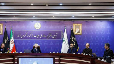 سامانه ملی حمایت از گزارشگران فساد رونمایی شد