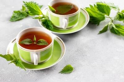 خواص پونه برای دل درد چیست؟ - سبک ایده آل