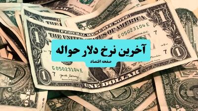 حواله دلار هم سقوط کرد! / قیمت حواله دلار امروز سه شنبه ۱۷ تیر ماه ۱۴۰۴