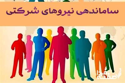 سرانجام ساماندهی نیروهای شرکتی در نشست اخیر دولت (ساماندهی در آستانه اجرا)| نتیجه نهایی تبدیل وضعیت نیروهای شرکتی به قراردادی