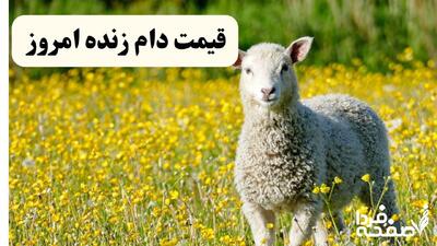 جدول قیمت دام زنده امروز سه‌شنبه ۱۷ تیر ۱۴۰۴ | کدام استان ارزان‌ترین دام زنده را دارد؟