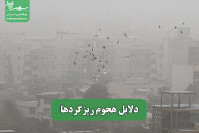 دلایل هجوم ریزگردها