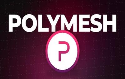 رالی تازه قیمت رمزارز POLYX در بی رونقی بازار کریپتو|آیا سود «پلی مش» دو رقمی خواهد شد؟