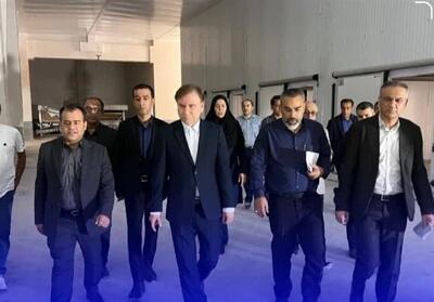 سرمایه‌گذاری 240 میلیاردی در کارخانه فرآوری آبزیان بوشهر - تسنیم
