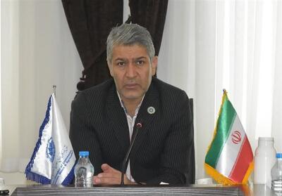 ظرفیت صادرات خراسان جنوبی به افغانستان مغفول مانده است - تسنیم
