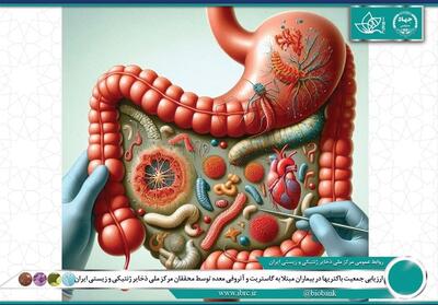 محققان ایرانی ترکیب میکروبی معده بیماران را بررسی کردند - تسنیم