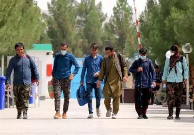 ببینید/نظر جالب یک دانشجوی افغان درباره واکنش مردم ایران به جنگ با اسرائیل - تسنیم
