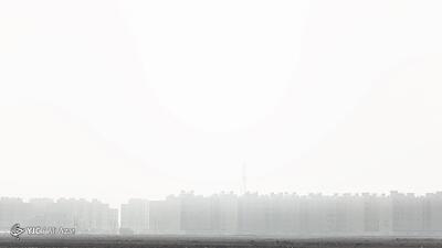 موثر بودن عرق نعنا برای آلودگی هوا/ مصرف شیر همراه با چند حبه سیر مناسب برای آلودگی هوا