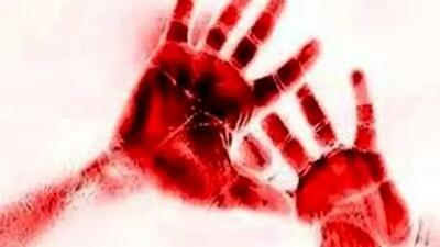 قتل یک پشه توسط یک قاتل سریالی متفاوت+ فیلم