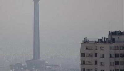 تاثیر تغذیه مناسب در کاهش آسیب‌های ناشی از آلودگی هوا