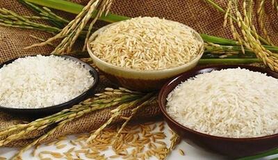 کاهش قیمت برنج در راه است