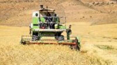 طرح جهش تولید در دیمزار‌های استان مرکزی