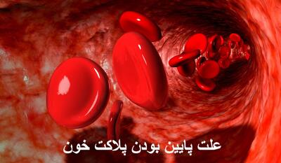 علت پایین بودن پلاکت خون چیست؟ آیا خطرناک و یا نشانه سرطان است؟