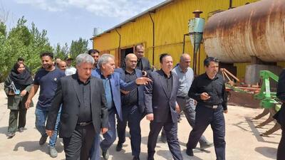 بازدید استاندار قزوین از بزرگترین واحد تولید بذر غلات دیم استان در دولت آباد تاکستان 