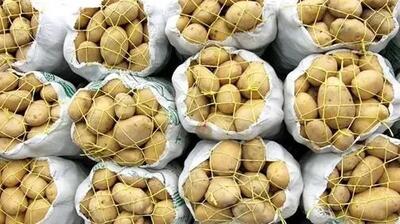 تثبیت قیمت سیب‌زمینی و پیاز با حمایت سازمان تعاون روستایی
