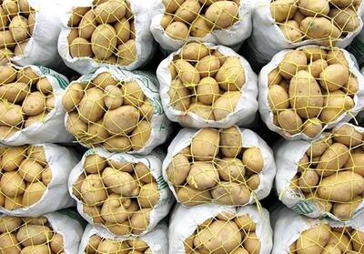  کاهش قیمت سیب‌زمینی و پیاز در بازار / وزارت کشاورزی: قیمت سیب‌زمینی و پیاز در مزارع بین ۷ تا ۱۲ هزار تومان تثبیت شده