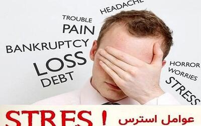 آرامش در بشقاب شما/ طب سنتی چگونه استرس را کاهش داده و گوارش را بهبود می‌بخشد؟