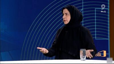 زهره هراتیان: پرونده نبیل باهویی از سیستم ما تایید نشد