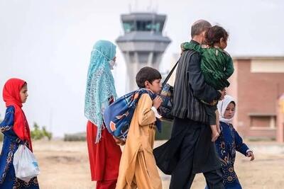 اظهارات یک دختر ۱۵ افغانستانی در آخرین لحظات حضور در ایران | واکنش یک شهروند مشهدی به خروج افغان‌ها از ایران: صف‌های نانوایی بسیار کوتاه‌تر شده‌اند