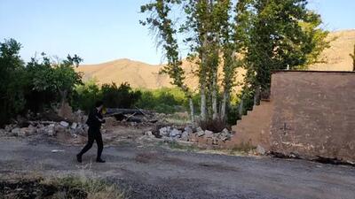 ایجاد پایگاه ایمنی و پیشگیری ازساخت سازه ها در باغ های شیراز
