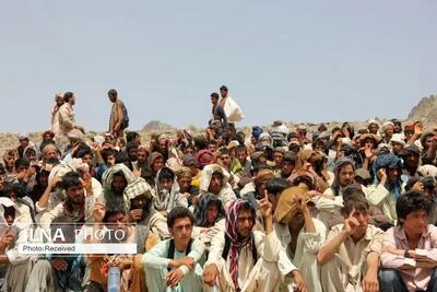 خروج داوطلبانه ده‌ها هزار تبعه غیرمجاز از البرز / انتقال روزانه بیش از ۱۰۰ اتوبوس به سمت مرزها