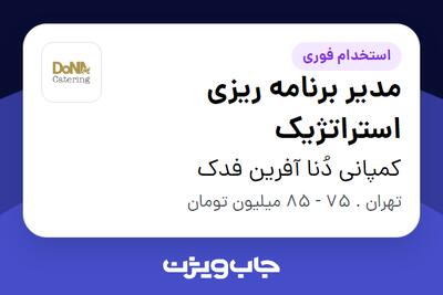 استخدام مدیر برنامه ریزی استراتژیک - آقا در کمپانی دُنا آفرین فدک