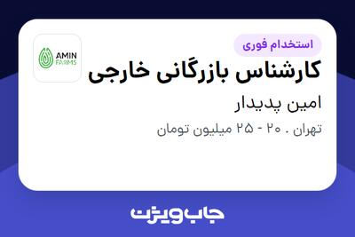 استخدام کارشناس بازرگانی خارجی - خانم در امین پدیدار