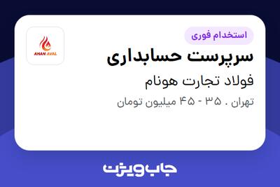 استخدام سرپرست حسابداری در فولاد تجارت هونام