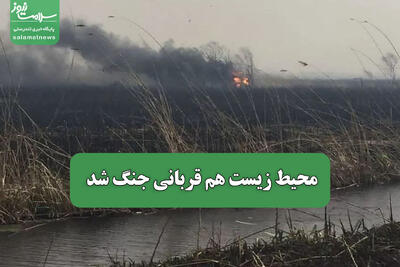 محیط زیست هم قربانی جنگ شد